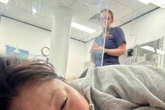 Dozer nagi at sash ryde january 2026.jpg