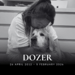 Dozer in memory of post thumbnail v2.png
