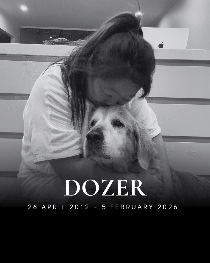 Dozer in memory of post thumbnail v2.png