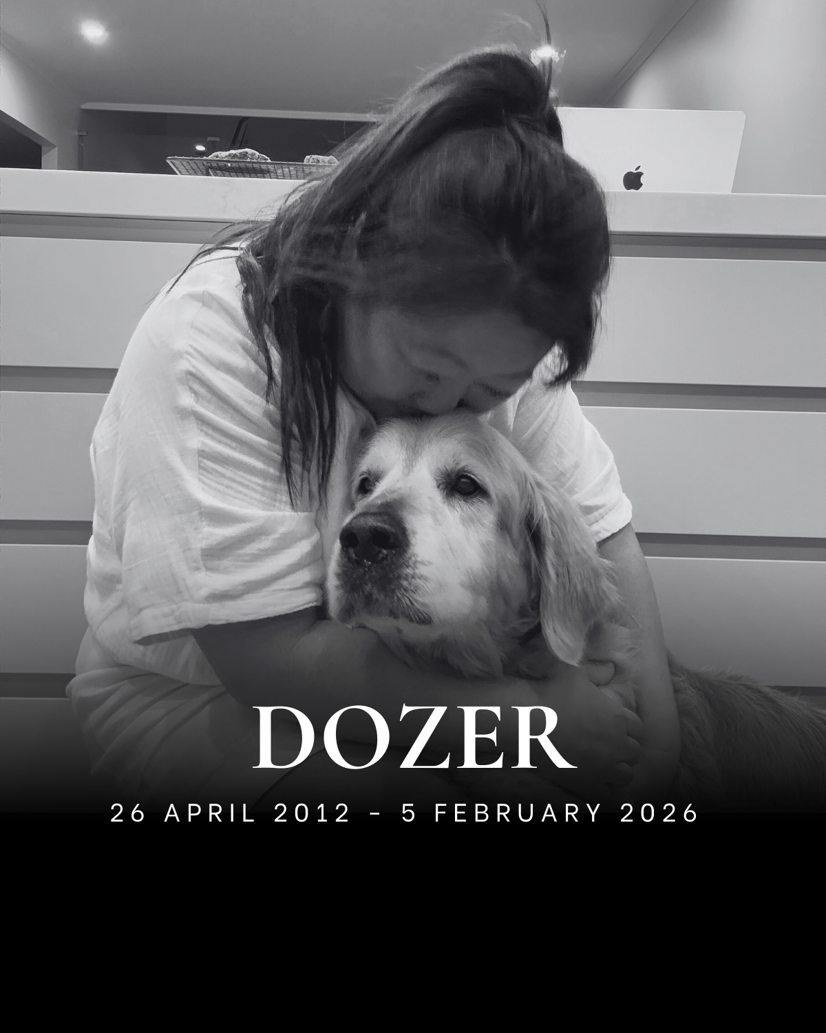 Dozer in memory of post thumbnail v2.png
