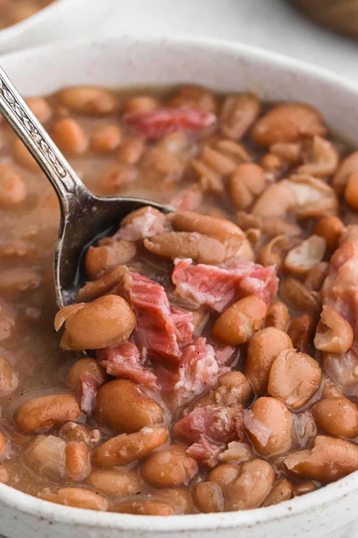 Pinto beans 3.jpg