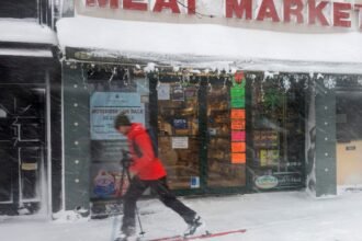 Abccb9ade1b6029ec2dd83f464bcb371f5 gettyimages 2263139528.1x.rsocial.w1200.jpg