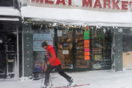 Abccb9ade1b6029ec2dd83f464bcb371f5 gettyimages 2263139528.1x.rsocial.w1200.jpg