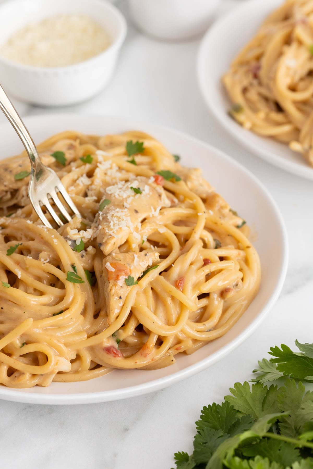 Chicken spaghetti 21.jpg