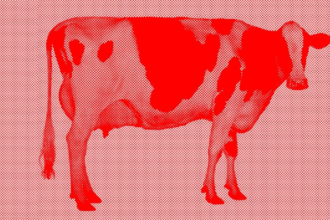 Cow2.png