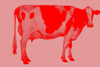 Cow2.png