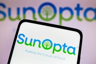 Shutterstock 2221042393 scaled e1719414608718.jpg