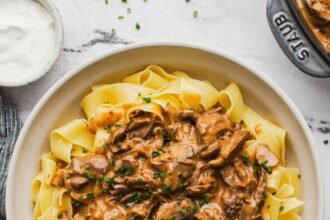 Beef stroganoff on noodles.jpg