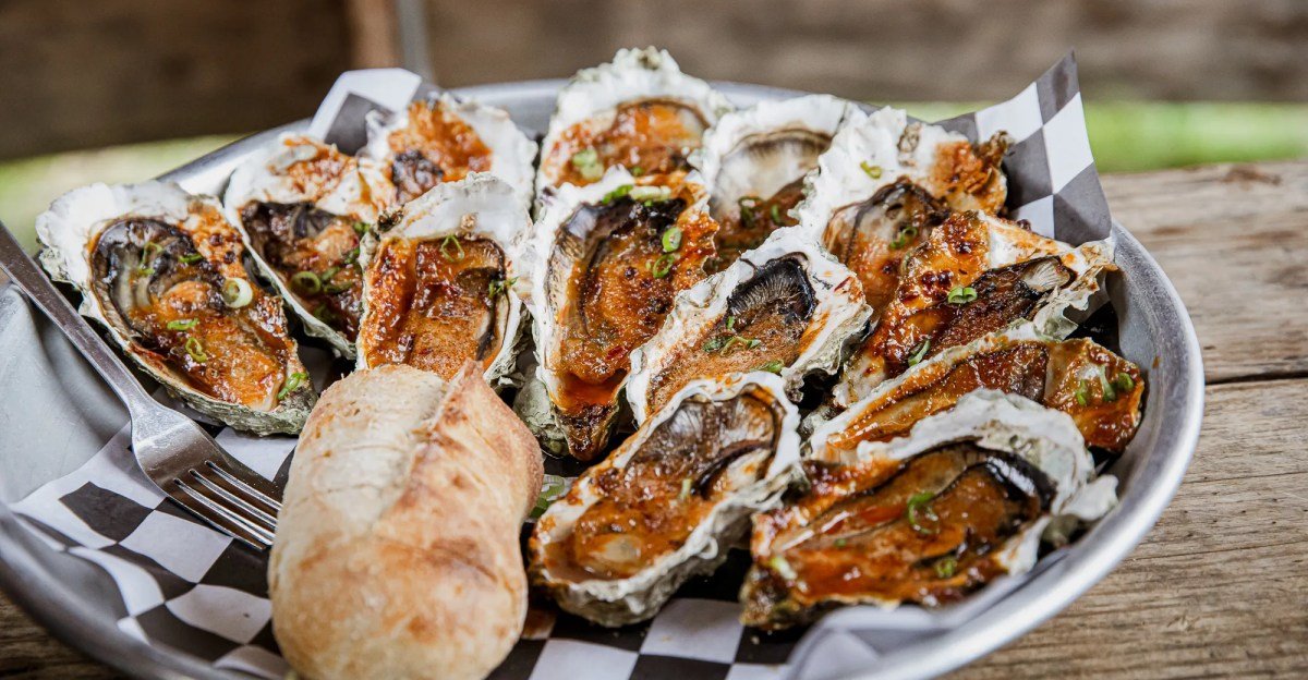 Credit nicole johnson 2 1.webp.jpeg