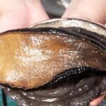 Eat vnd 052 thumb syn.jpg