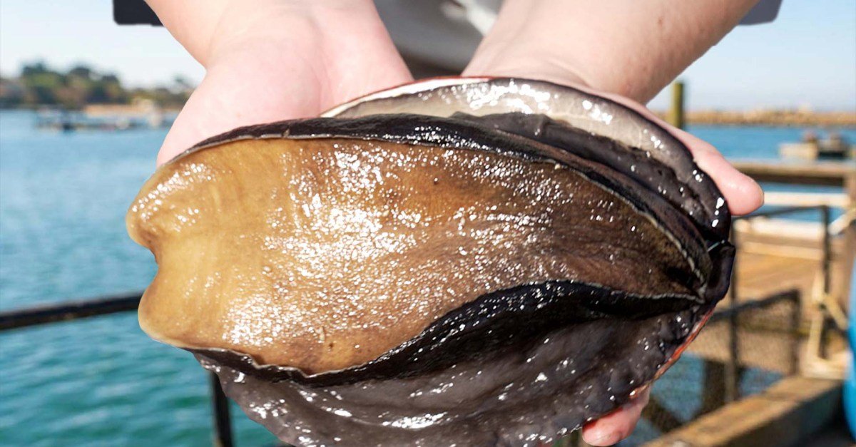 Eat vnd 052 thumb syn.jpg