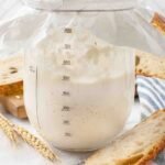 Sourdough bread starter hero 10.jpg