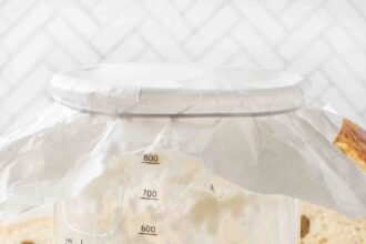 Sourdough bread starter hero 10.jpg