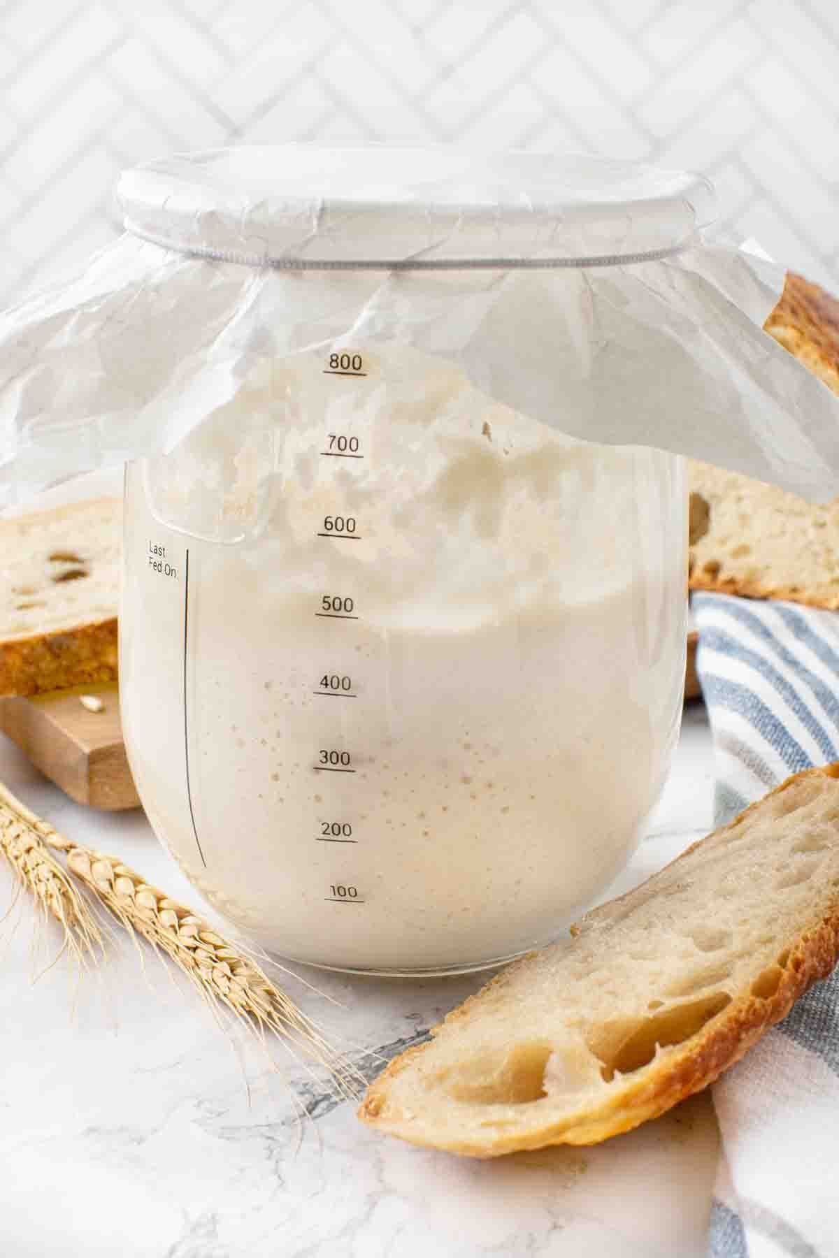 Sourdough bread starter hero 10.jpg