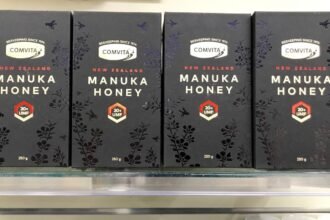 Shutterstock 1437157976 1.jpg